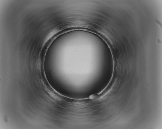 X0000099231114200804241447