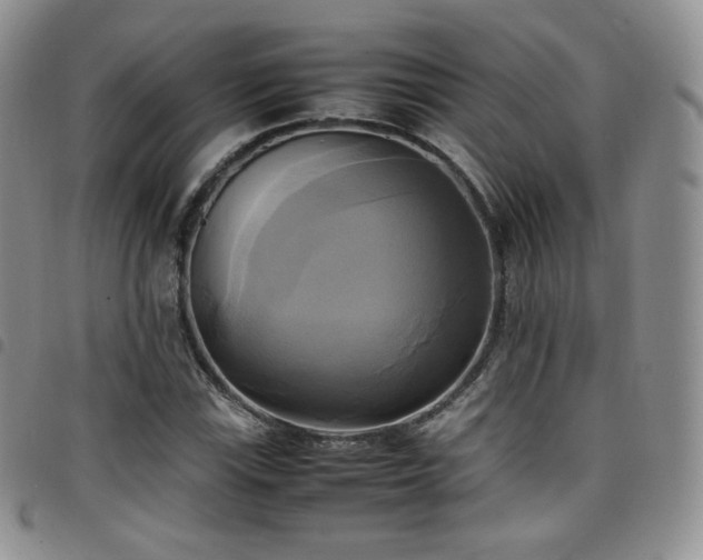 X0000099231115200804241447