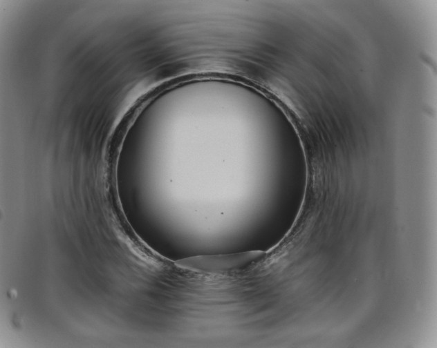 X0000099231116200804241447