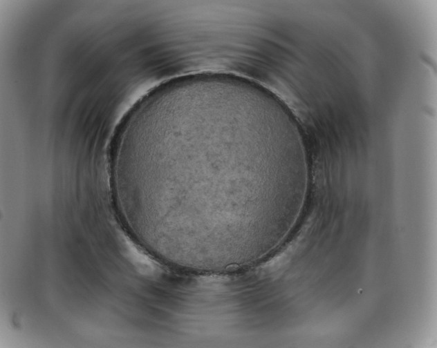 X0000099231118200804241447