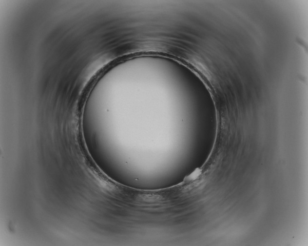 X0000099231119200804241447