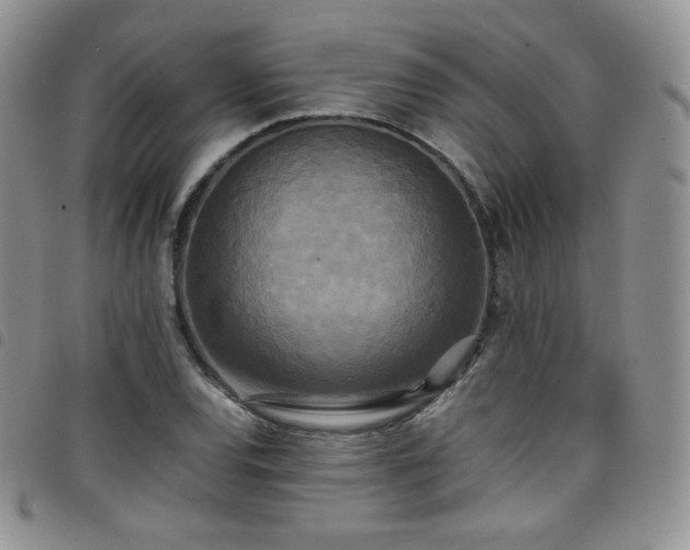 X0000099231120200804241447