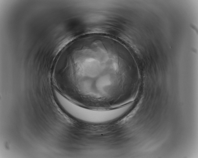 X0000099231121200804241447