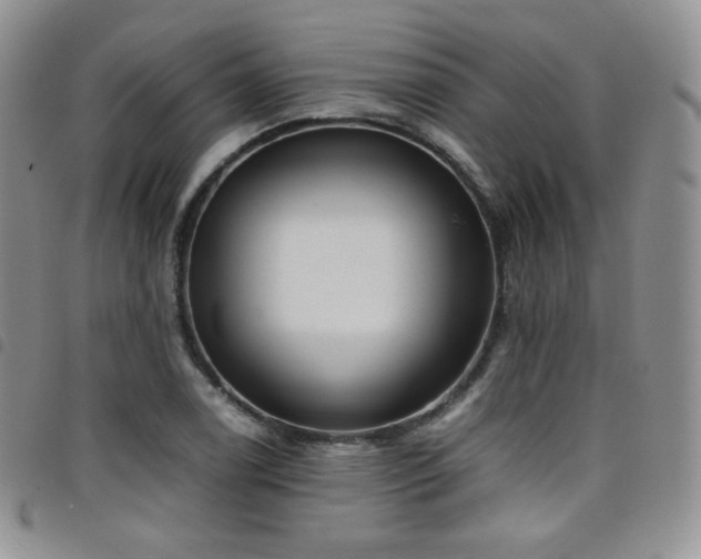 X0000099231122200804241447
