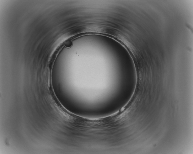 X0000099231123200804241447