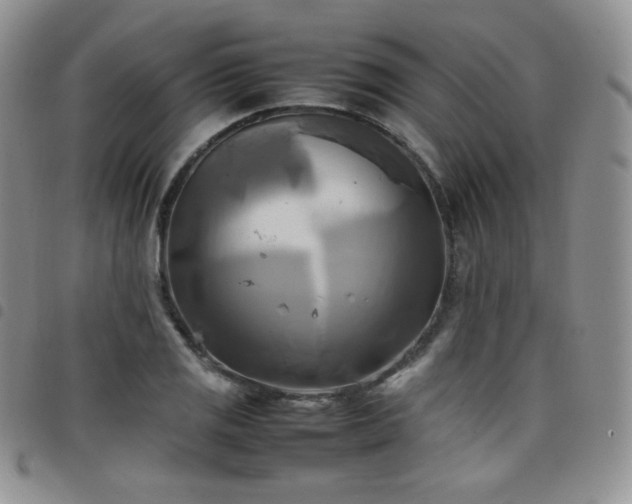 X0000099231125200804241447