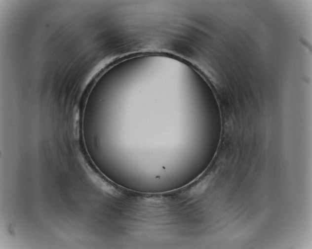 X0000099231126200804241447