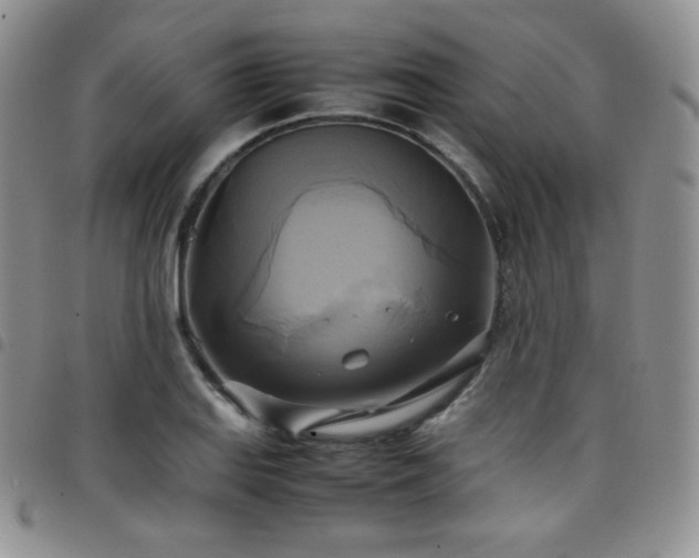 X0000099231127200804241447