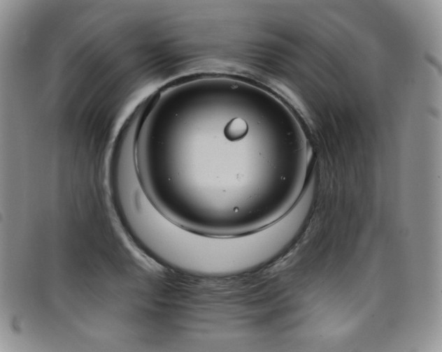 X0000099231128200804241447