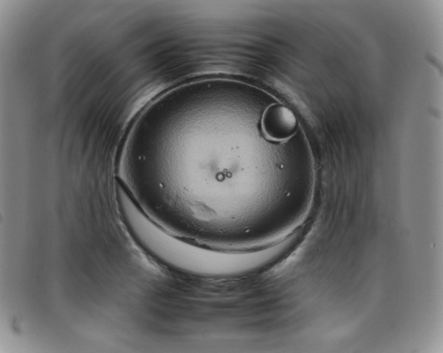 X0000099231129200804241447