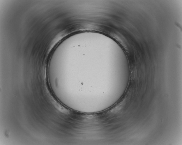 X0000099231130200804241447