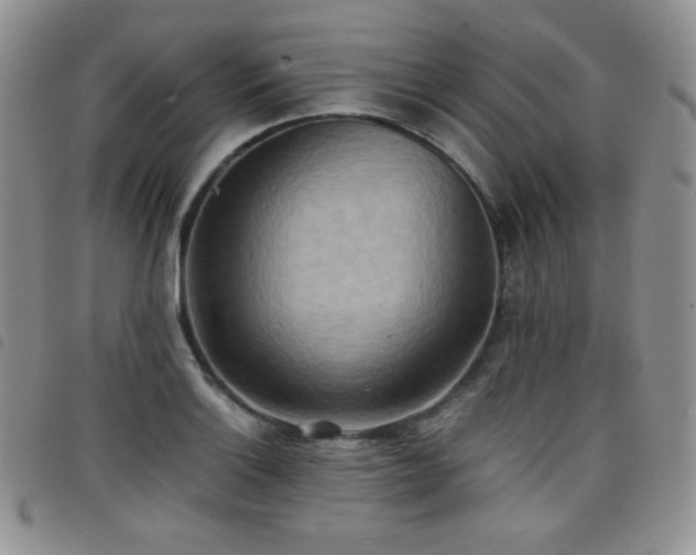 X0000099231132200804241447