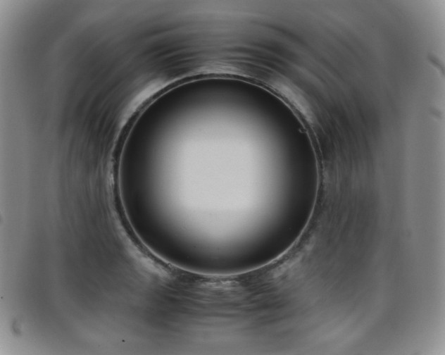 X0000099231133200804241447