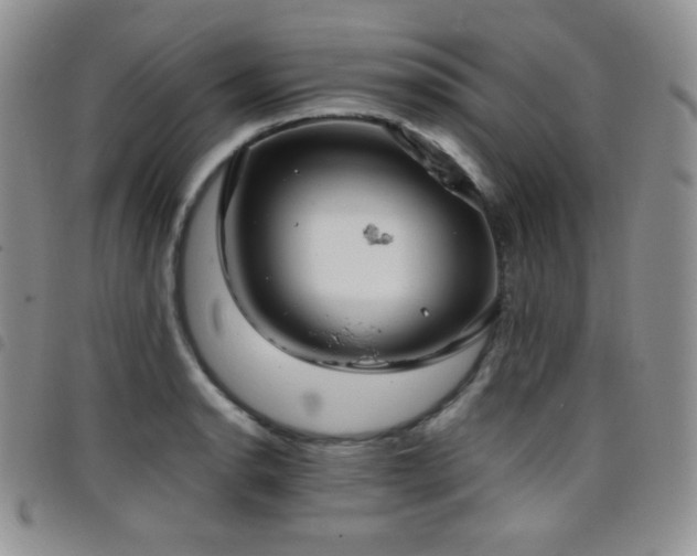 X0000099231134200804241447