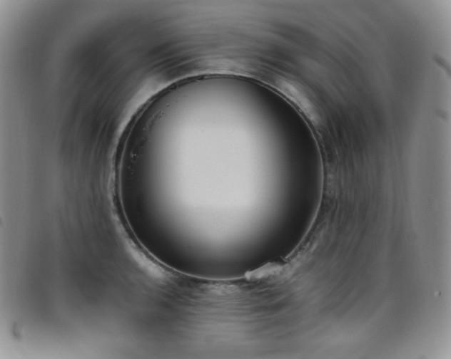 X0000099231136200804241448