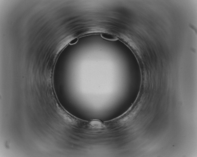 X0000099231137200804241448