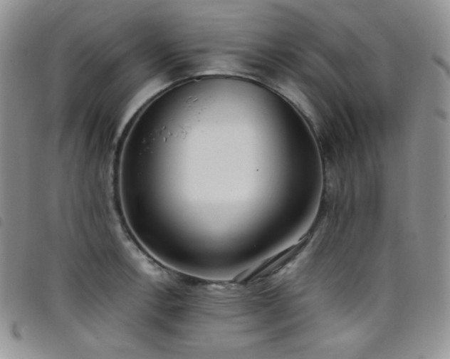 X0000099231138200804241448