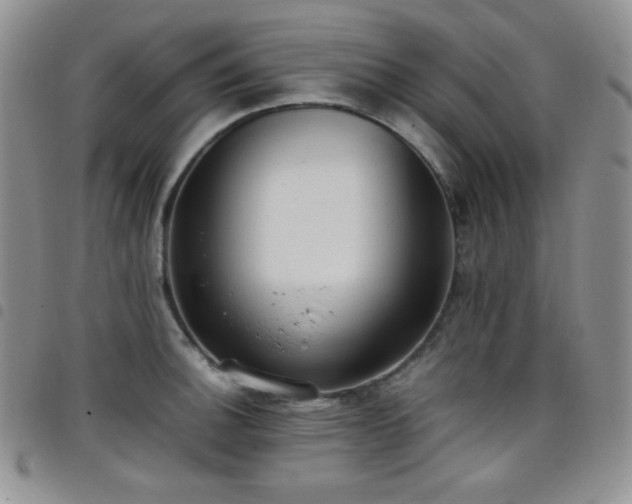 X0000099231140200804241448