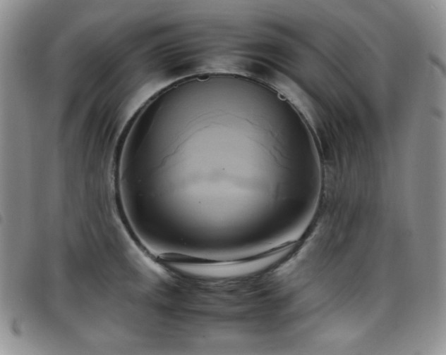 X0000099231141200804241448