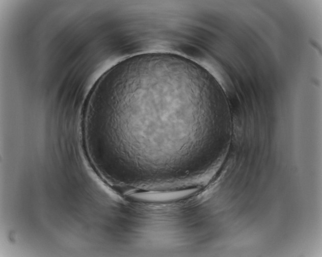 X0000099231142200804241448