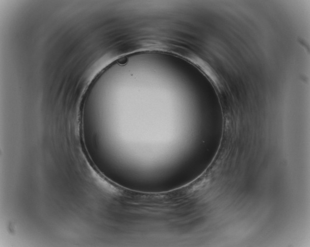X0000099231143200804241448
