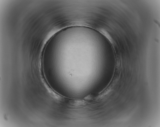X0000099231144200804241448