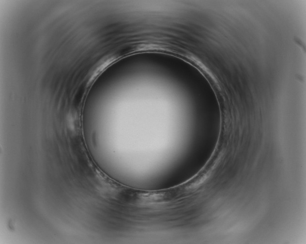 X0000099231145200804241448