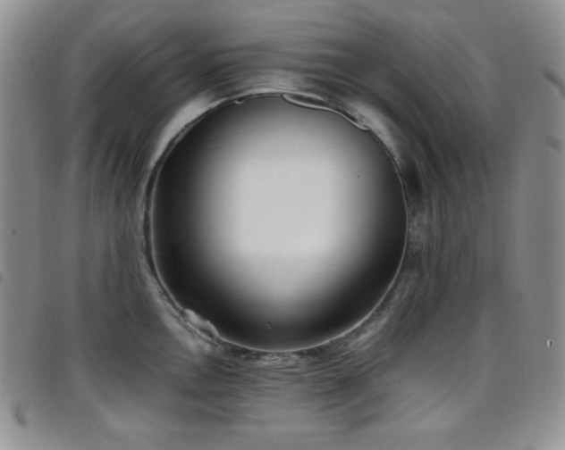 X0000099231146200804241448