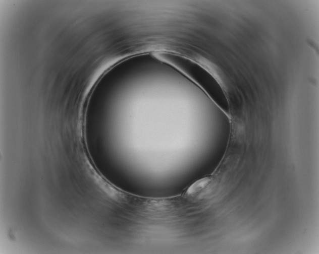 X0000099231148200804241448
