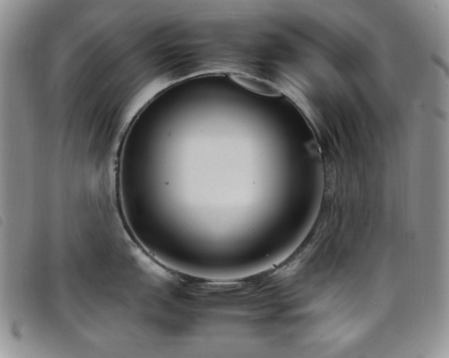 X0000099231151200804241448