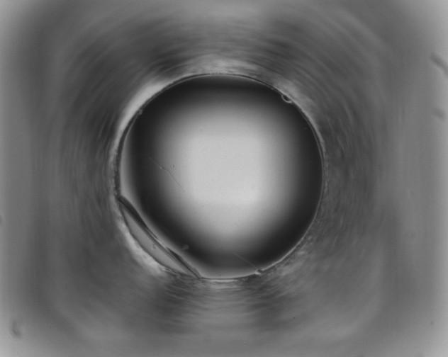X0000099231152200804241448