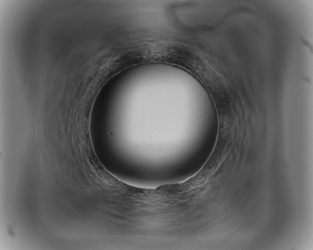 X0000099231153200804241447
