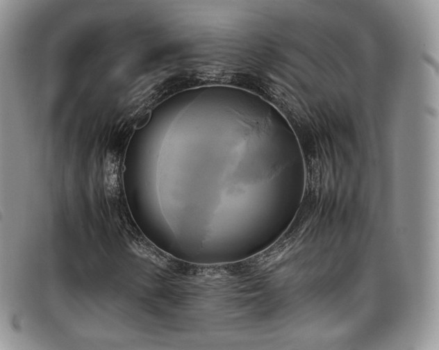 X0000099231154200804241447
