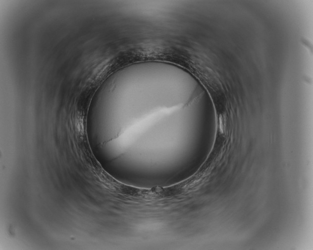 X0000099231155200804241447