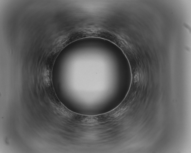 X0000099231156200804241447