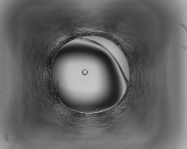 X0000099231157200804241447