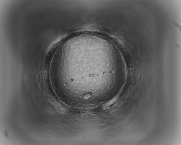 X0000099231159200804241447