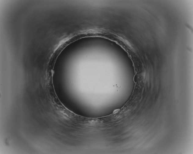 X0000099231160200804241447