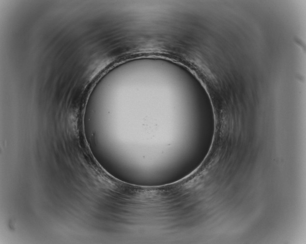 X0000099231162200804241447