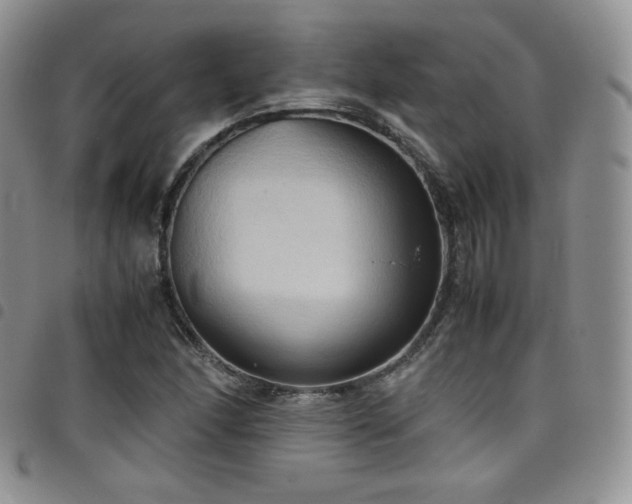 X0000099231166200804241447