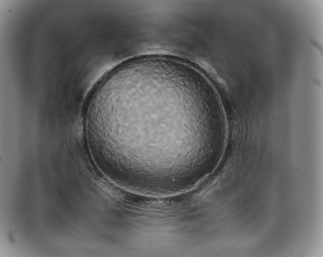 X0000099231167200804241447