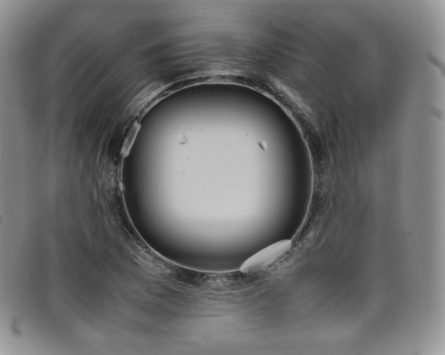 X0000099231169200804241447