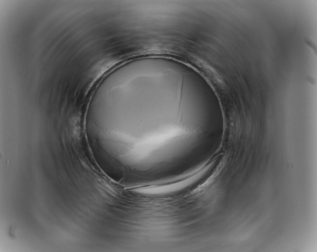 X0000099231170200804241447