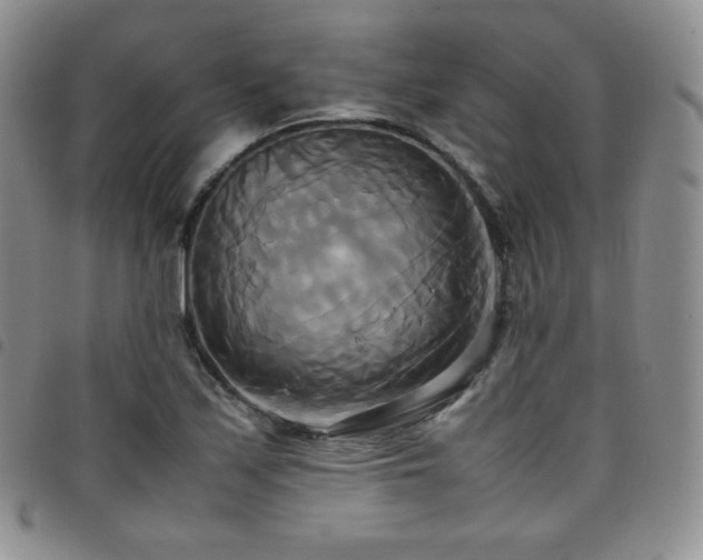X0000099231171200804241447