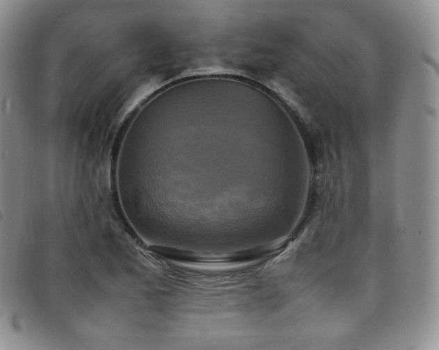X0000099231173200804241447