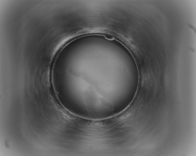 X0000099231174200804241447