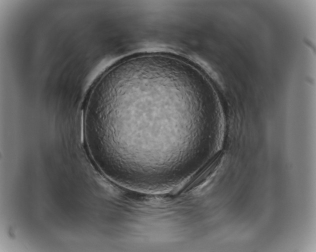 X0000099231175200804241447