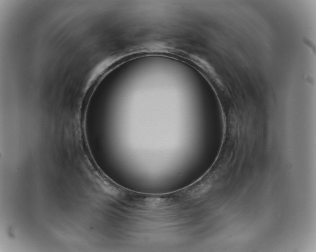 X0000099231176200804241447