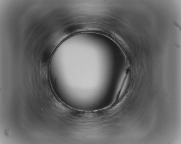 X0000099231177200804241447