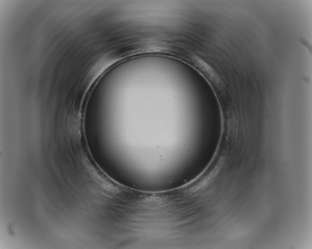 X0000099231178200804241447